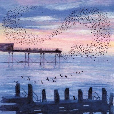 Notecards - Coast & Country (20 Pack)