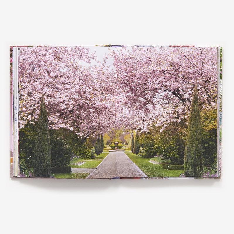 London in Bloom Book