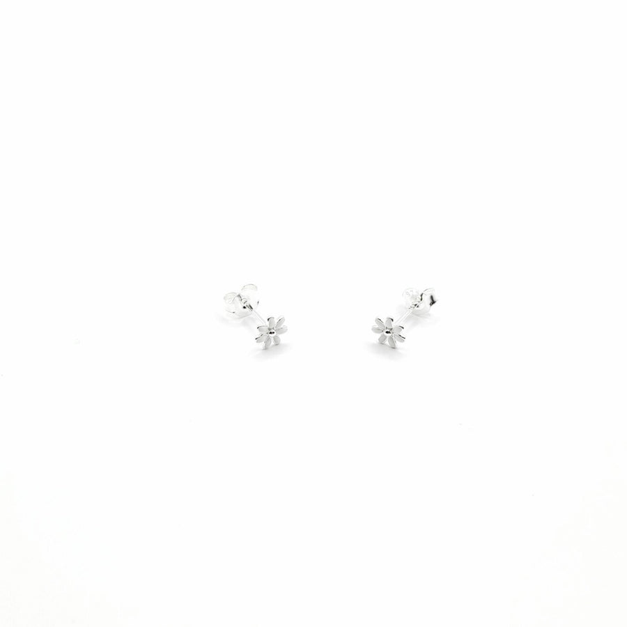 Sterling Silver Enamel  Earrings - Assorted