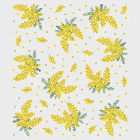 Nawrap Dishcloth - MIMOSA