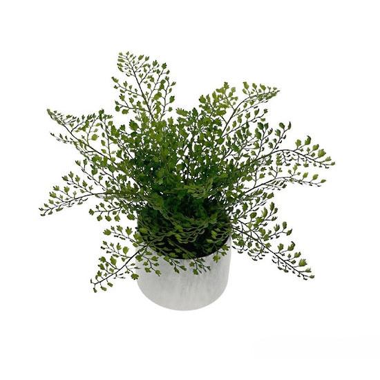 Faux Maidenhair Fern - Potted | 32cm