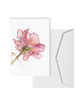 Suzy Abbott Greeting Cards