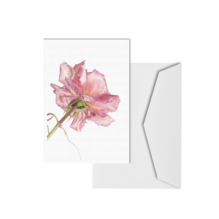 Suzy Abbott Greeting Cards