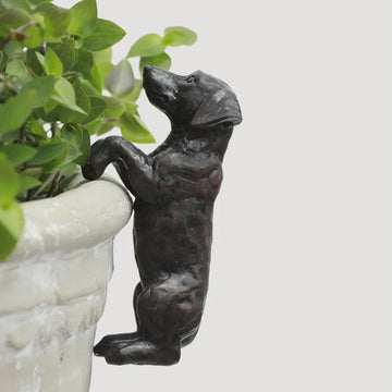 Resin Hanging Dachshund - Brown Rustic