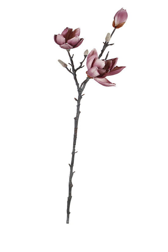 Port Wine Magnolia Spray 79cm