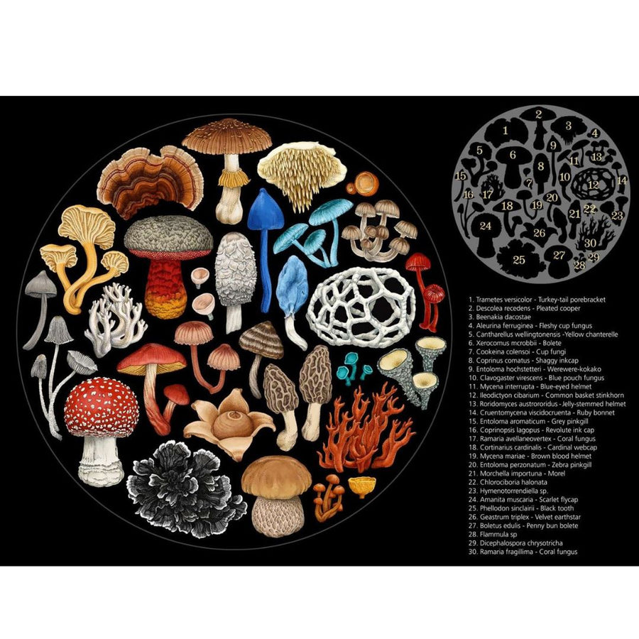 Wolfkamp + Stone - Fungi Round Puzzle (1000pc)