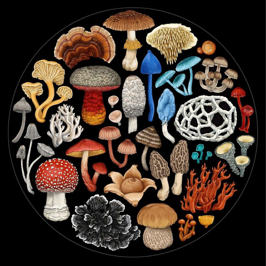 Wolfkamp + Stone - Fungi Round Puzzle (1000pc)