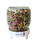 Sprouting Jar 500ml by Goodlife