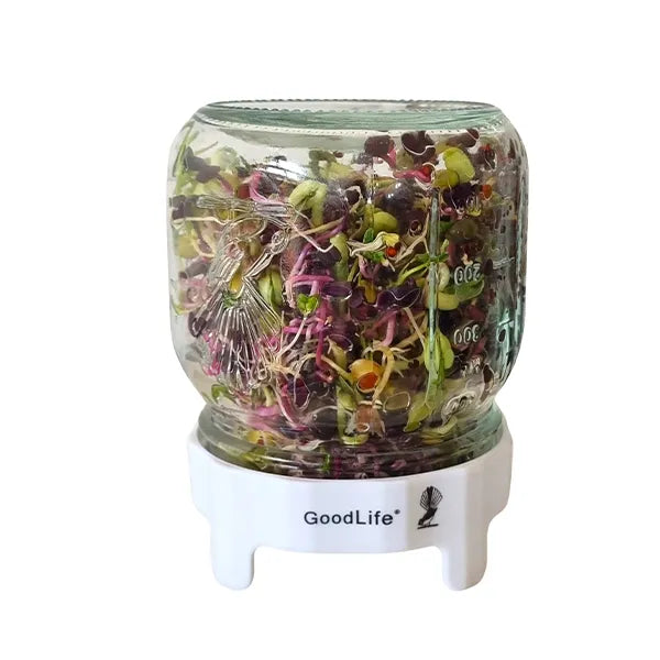 Sprouting Jar 500ml by Goodlife