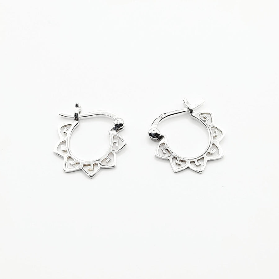 EE539 sunhoop earrings