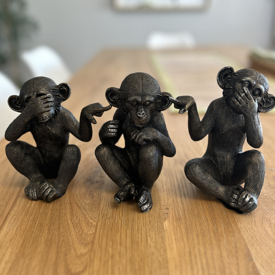 See | Hear | Speak No Evil Monkey (Set 3)